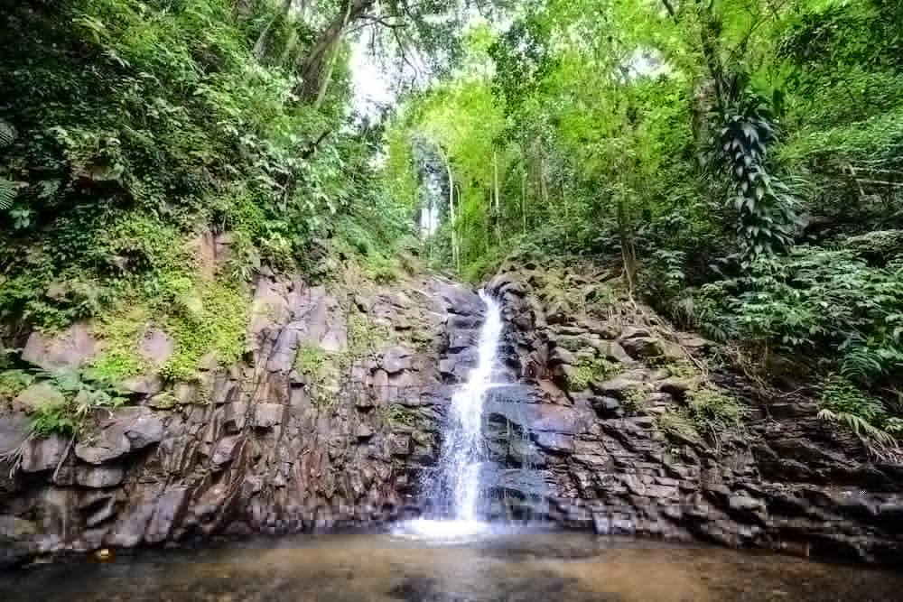 Fond Doux Eco Resort Soufrière Buitenkant foto